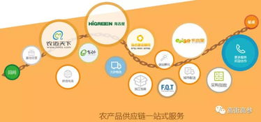 生鮮B2B旺火，為何“燒”不掉農(nóng)貿(mào)市場(chǎng)？——網(wǎng)絡(luò)信息技術(shù)服務(wù)下的共生邏輯